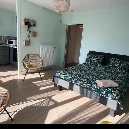 T2 La Source 500m De Thermes Apartment